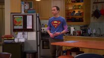 The Big Bang Theory - Episode 4 - The Hook-Up Reverberation