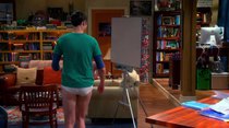The Big Bang Theory - Episode 12 - The Hesitation Ramification