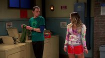 The Big Bang Theory - Episode 11 - The Cooper Extraction