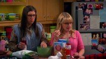 The Big Bang Theory - Episode 8 - The Itchy Brain Simulation