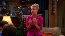 The Big Bang Theory - Episode 4 - The Re-Entry Minimization