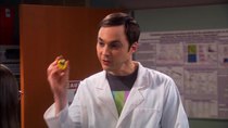 The Big Bang Theory - Episode 16 - The Vacation Solution