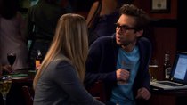 The Big Bang Theory - Episode 9 - The Ornithophobia Diffusion