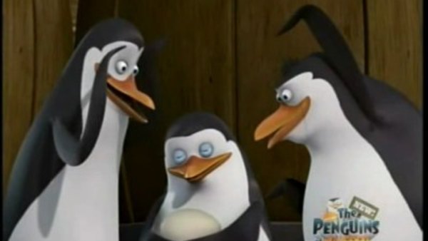 The Penguins of Madagascar - S01E06 - Paternal Egg-Stinct