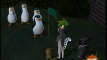 The Penguins of Madagascar - Episode 8 - Penguiner Takes All
