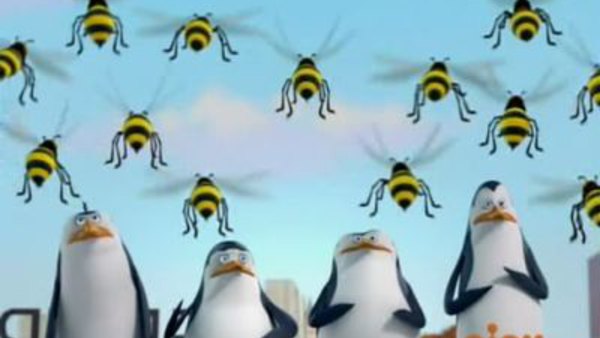 The Penguins of Madagascar - S01E36 - Sting Operation