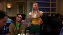 The Big Bang Theory - Episode 16 - The Cohabitation Formulation