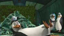 The Penguins of Madagascar - Episode 48 - Herring Impaired