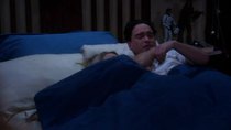 The Big Bang Theory - Episode 17 - The Precious Fragmentation