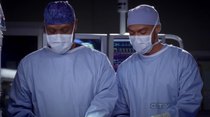 Grey's Anatomy - Episode 18 - The Lion Sleeps Tonight