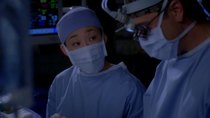 Grey's Anatomy - Episode 20 - Hook, Line, and Sinner