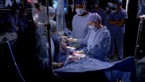 Grey's Anatomy - Episode 22 - What a Difference a Day Makes