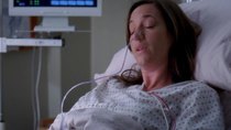 Grey's Anatomy - Episode 17 - I Will Follow You into the Dark