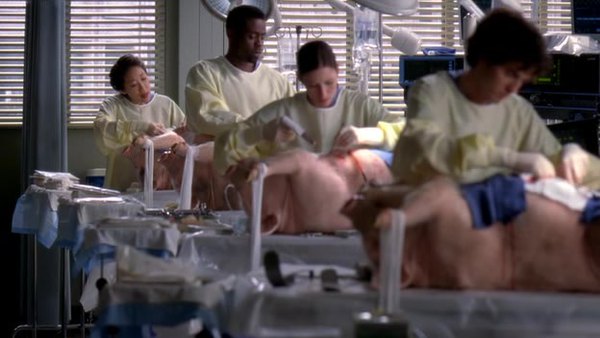 Grey S Anatomy Season 5 Episode 6