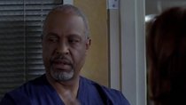 Grey's Anatomy - Episode 26 - Deterioration of the Fight-or-Flight Response