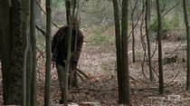 The Walking Dead - Episode 15 - Try