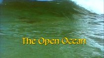 The Living Planet - Episode 11 - The Open Ocean