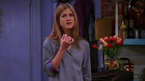 Friends - Episode 17 - The One with Rachel's Inadvertent Kiss