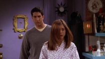 Friends - Episode 21 - The One with the Chick and the Duck
