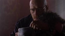 Breaking Bad - Episode 13 - ABQ