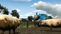 Thomas the Tank Engine & Friends - Episode 8 - Thomas and the Pigs