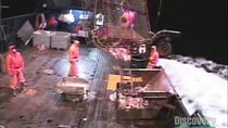 Deadliest Catch - Episode 2 - Long Sleepless Nights