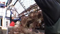 Deadliest Catch - Episode 3 - On the Crab