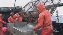 Deadliest Catch - Episode 4 - Put Up or Shut Up