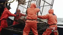 Deadliest Catch - Episode 5 - Arctic Quest