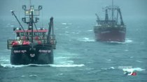 Deadliest Catch - Episode 1 - The Gamble