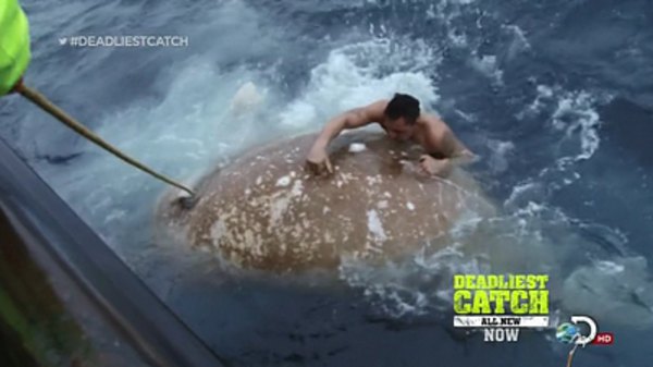 Deadliest Catch - S09E15 - Man Overboard
