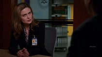 Bones - Episode 21 - The Cold in the Case