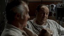 The Sopranos - Episode 4 - The Fleshy Part of the Thigh