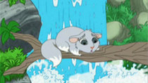 Go, Diego, Go! - Episode 3 - Chinta The Baby Chinchilla