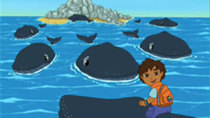 Go, Diego, Go! - Episode 4 - Diego Saves Baby Humpback Whale
