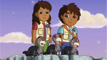 Go, Diego, Go! - Episode 6 - Three Little Condors