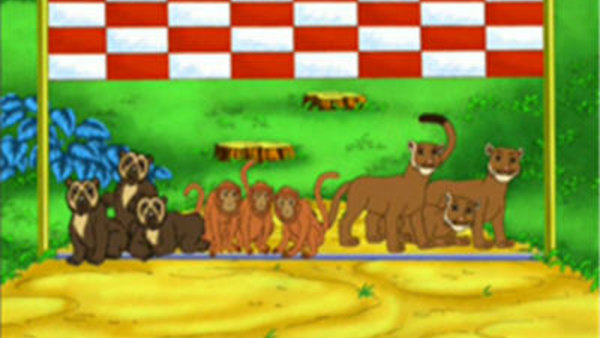 Go, Diego, Go! Season 1 Episode 8