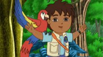 Go, Diego, Go! - Episode 9 - The Mommy Macaw