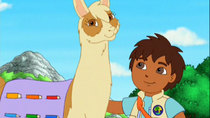 Go, Diego, Go! - Episode 14 - Linda the Librarian