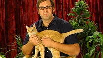 Tim and Eric Awesome Show, Great Job! - Episode 3 - Cats