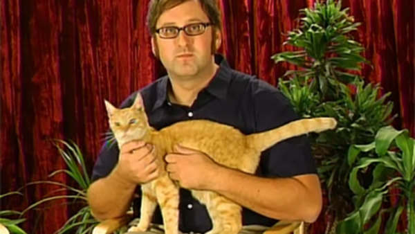 Tim and Eric Awesome Show, Great Job! - Ep. 3 - Cats