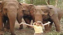 Bindi, the Jungle Girl - Episode 2 -  Elephants at Work