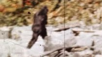 MonsterQuest - Episode 5 - Bigfoot