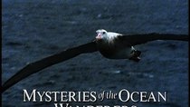 Natural World - Episode 1 - Mysteries of the Ocean Wanderers