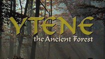 Natural World - Episode 6 - Ytene: England's Ancient Forest
