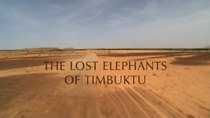 Natural World - Episode 1 - The Lost Elephants of Timbuktu