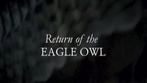 Natural World - Episode 5 - Return Of The Eagle Owl