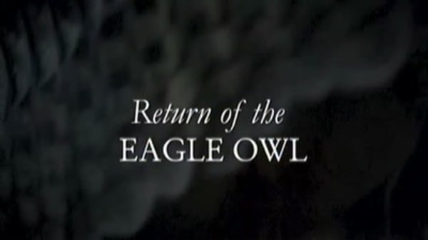 Natural World - S24E05 - Return Of The Eagle Owl