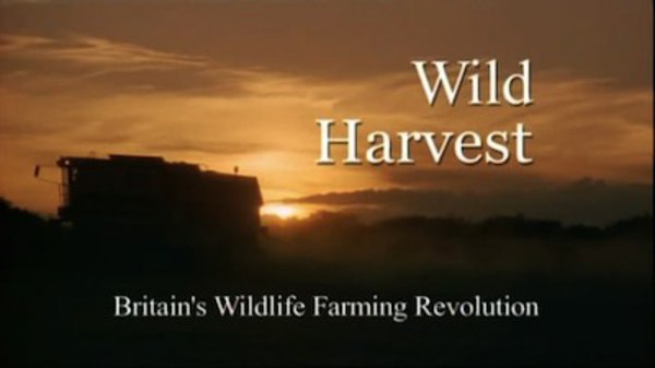 Natural World - S24E09 - Wild Harvest