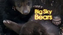 Natural World - Episode 15 - Big Sky Bears